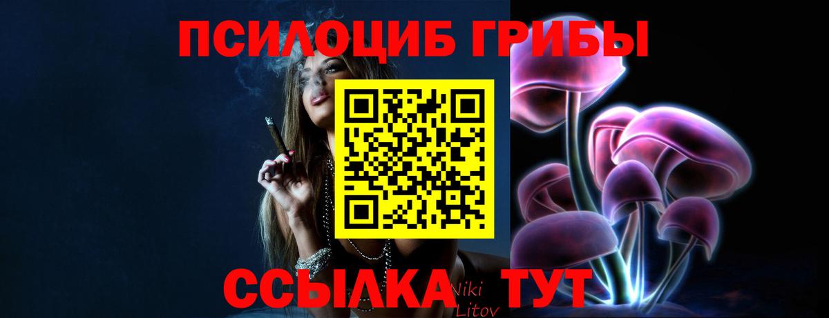 Галлюциногенные грибы Psilocybine cubensis  Вход с VPN  Большой Камень 